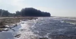 Viral Pantai Sigandu-Ujungnegoro Menghitam, Diduga karena Limbah Bawaan Aliran Kali Sono Batang