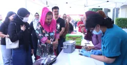 Pemkot Semarang menggelar vaksinasi dan sterilisasi gratis bagi kucing dan anjing liar. (Sumber:  | Foto: dok Humas Pemkot Semarang.)