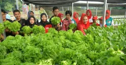Anak Muda Kota Semarang Didorong Jadi Petani, Perkuat Agen Ketahanan Pangan