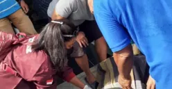 Kecelakaan Maut di Taman Wilis: Pemotor Tewas di Tempat