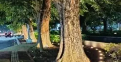 Sepanjang Jalan Kampung Kali Semarang Dihiasi Lampu, Makin Tampak Cantik