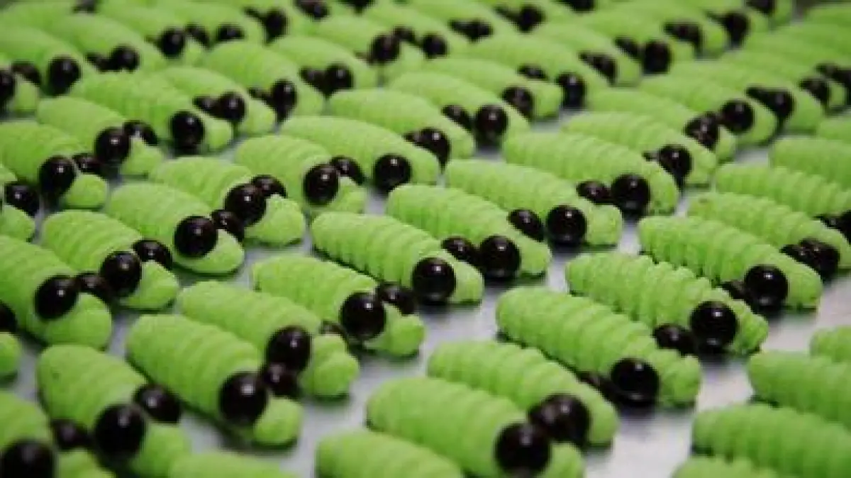Resep cookies ulat daun, kue kering yang sedang viral di media sosial. (Sumber : Freepik)