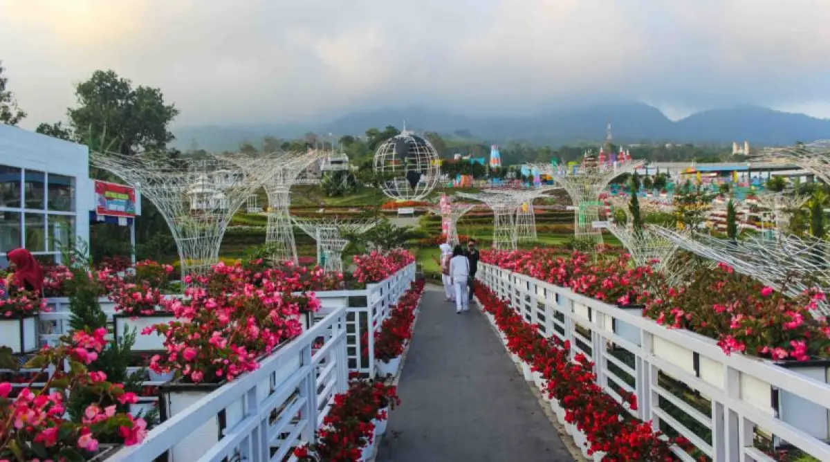 Celosia Flower Garden di Semarang. (Sumber : Situs resmi Visit Jawa Tengah)