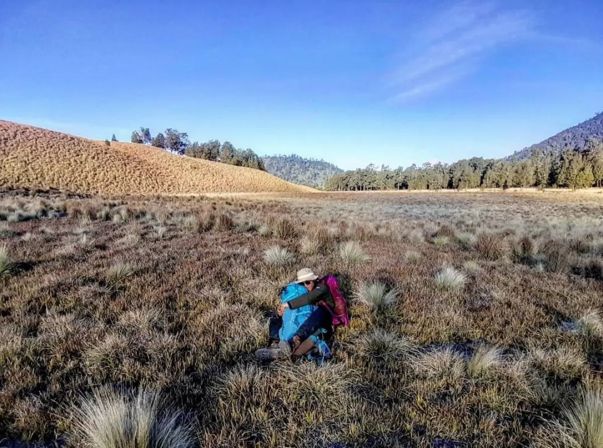 pemandangan sabana di Gunung Merbabu yang indah, bisa membuat pendaki betah (Sumber : Istimewa/Fierdha Abdullah Ali)