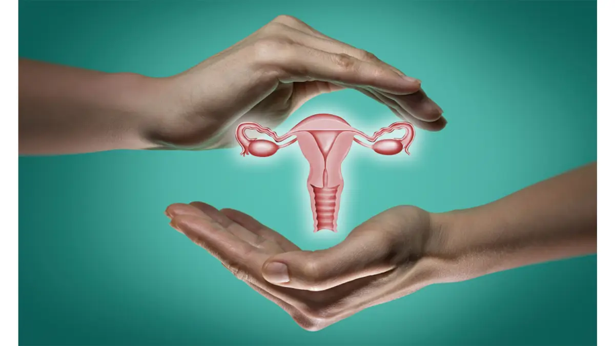 Ilustrasi rahim (Sumber : Pexels)