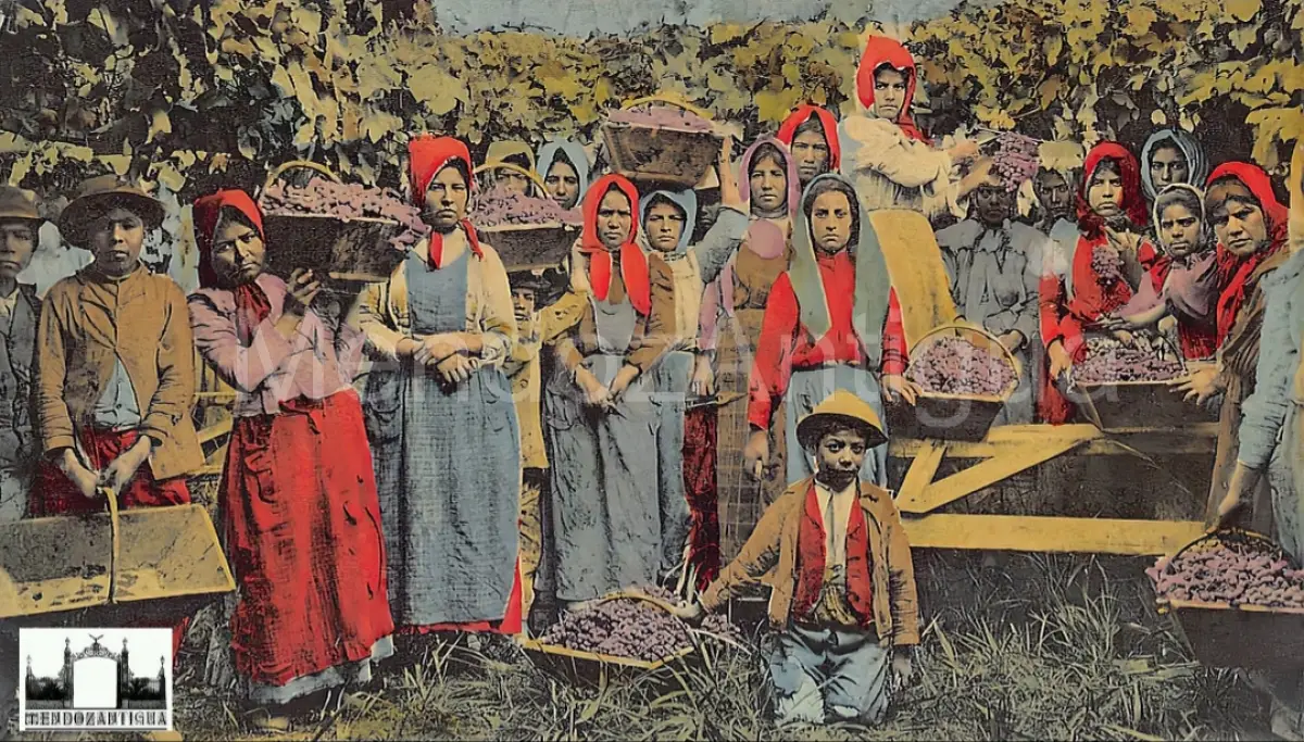 Ilustrasi festival panen anggur yang ada di negara Argentina (Sumber : Twitter)