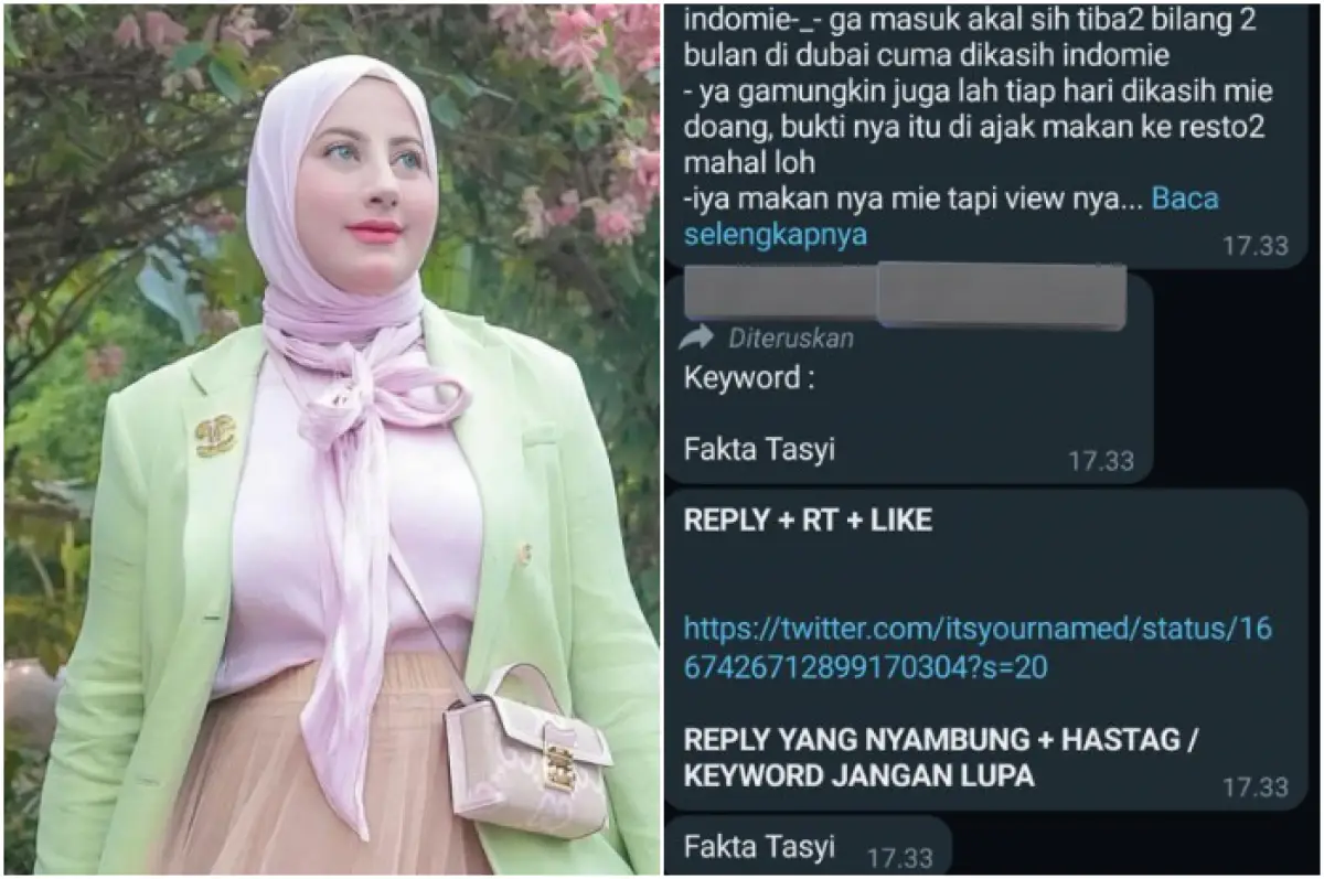 Tasyi Athasyia diduga sewa akun bayaran (Sumber : Instagram @tasyiathasyia/ Twitter @Damarudin990)