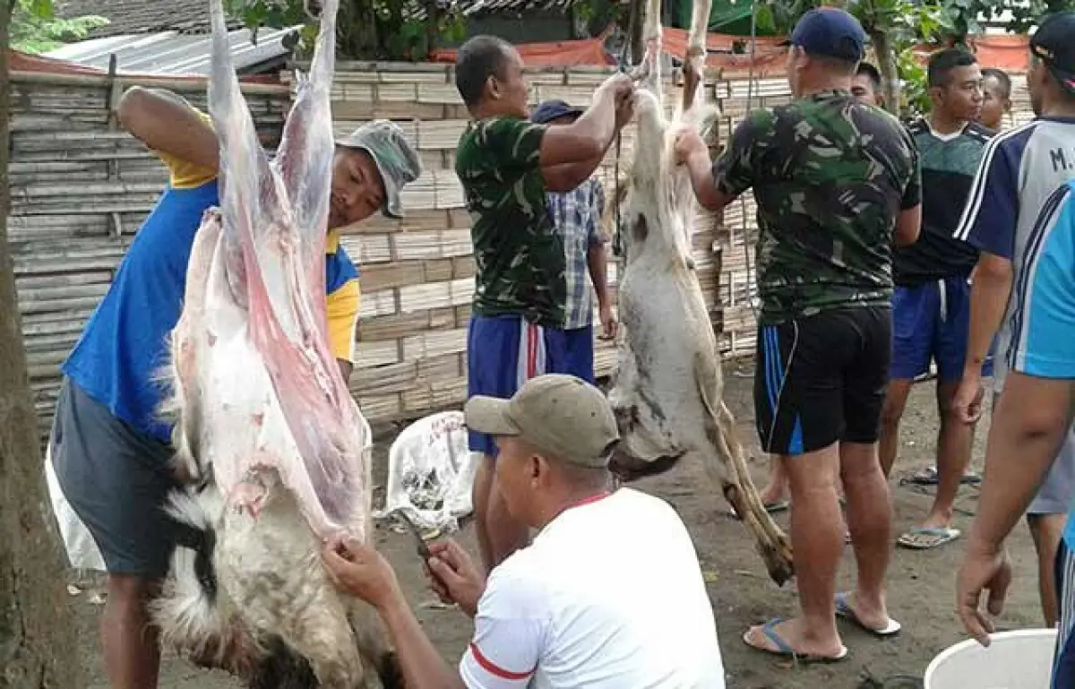 Penyembelihan hewan kurban memiliki batas waktu tertentu (Sumber : Twitter)