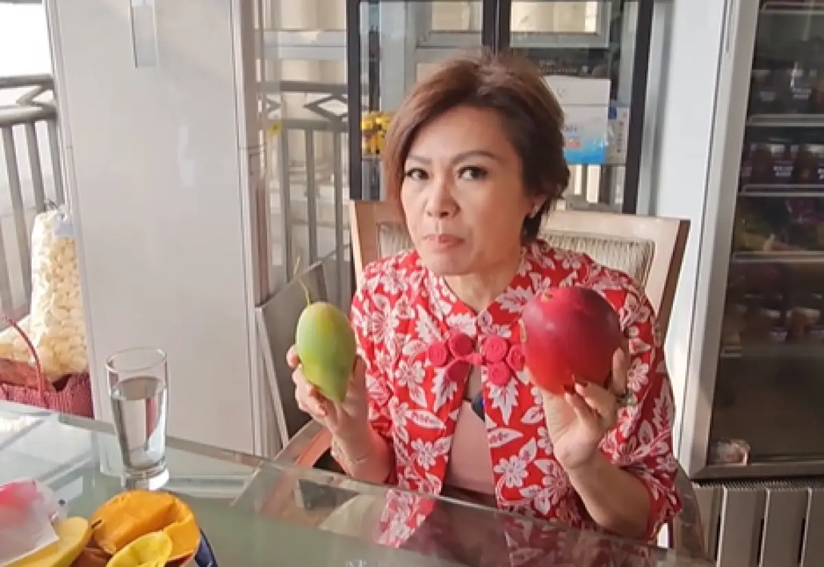 Tjioe Nofia Handayani atau yang dikenal dengan nama Ci Mehong mencalonkan diri sebagai anggota legislatif dari Partai Perindo di Pemilu 2024. (Sumber : Instagram @pikbakinghouse)