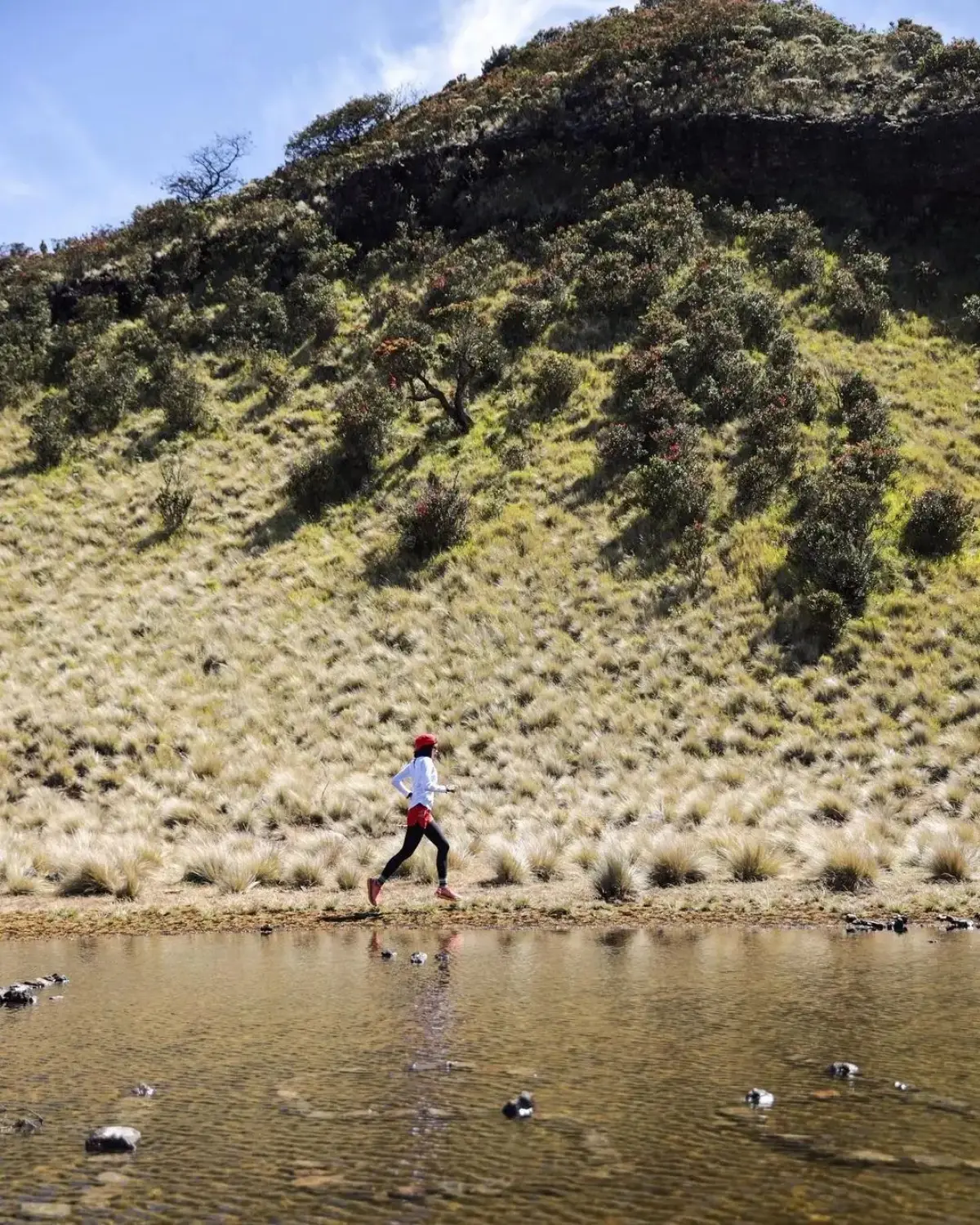 Gunung Lawu. (Sumber : instagram/lawumountain)