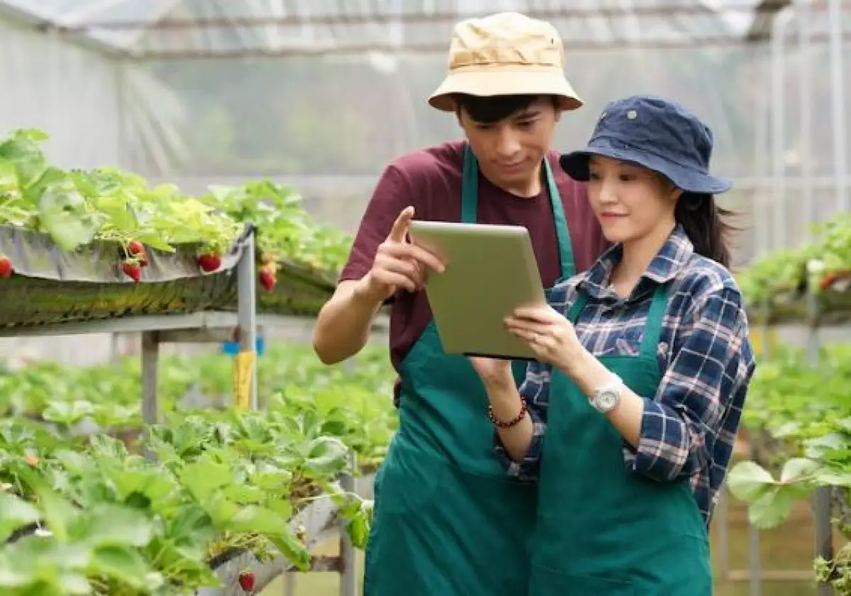 Ilustrasi | Tips Sukses Berkebun Tanpa Perlu Lahan Luas (Sumber : Freepik/pressfoto)