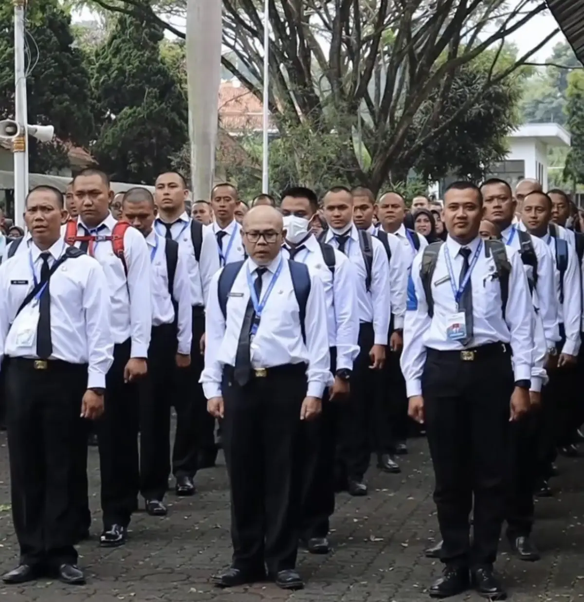 Ilustrasi CPNS I Foto: instagram @infocpnsterkini)