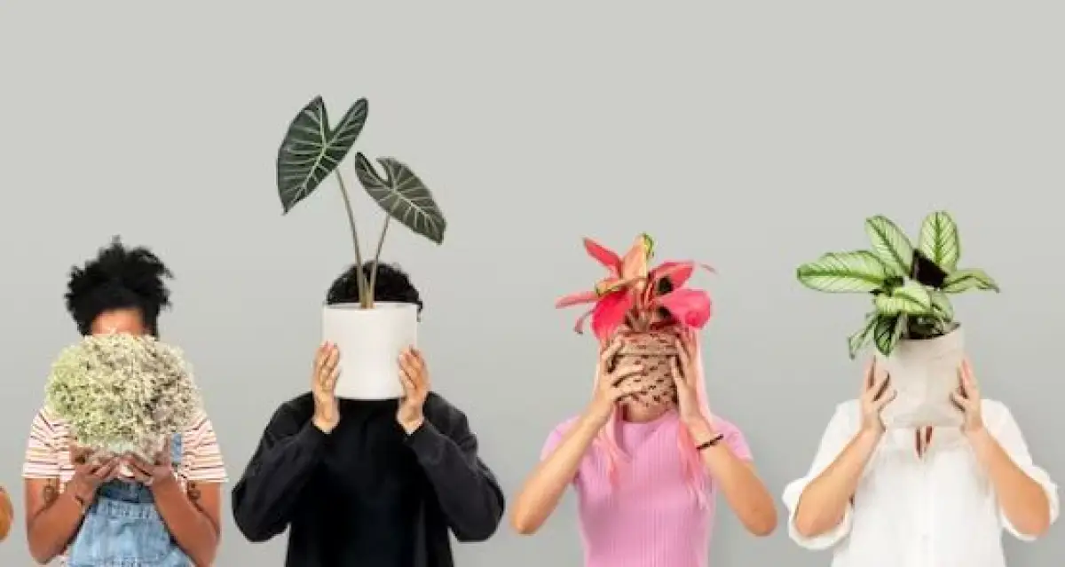 Ilustrasi | Kelebihan dan kekurangan menanam tanaman aglonema di rumah (Sumber : Freepik/rawpixel.com)