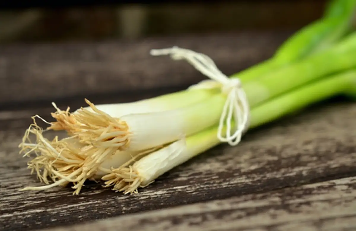 Tips simpan daun bawang di rumah (Sumber : Pixabay/congerdesign)