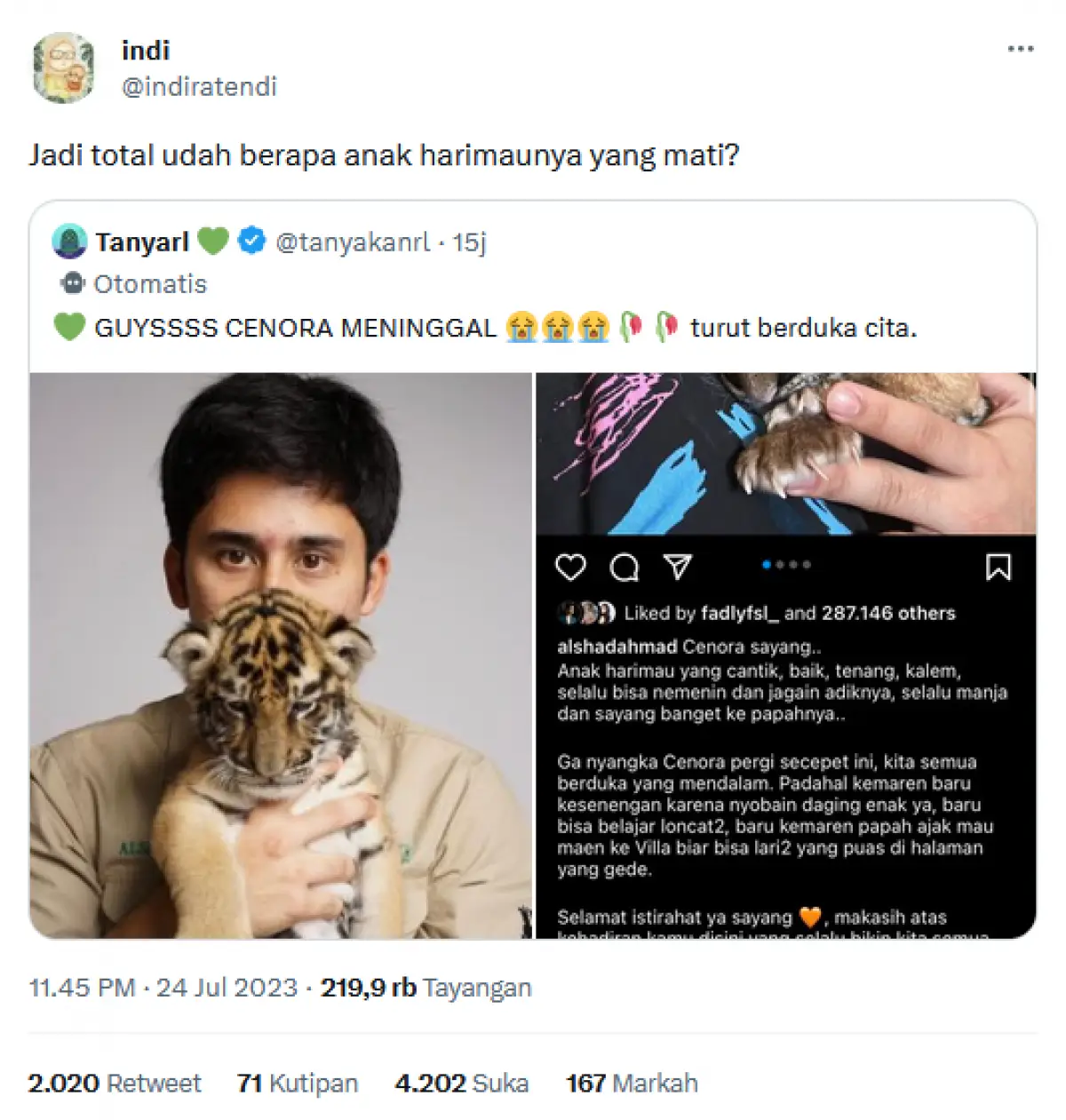 Alshad Ahmad tuai cibiran usai umumkan anak harimau peliharaanya mati (Sumber : Twitter/@indiratendi)