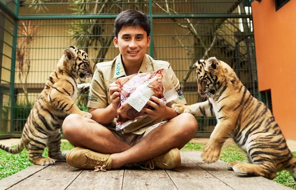 Alshad Ahmad ungkap penyebab kematian Cenora, anak harimau yang berusia 2 bulan. (Sumber : Instagram @alshadahmad)