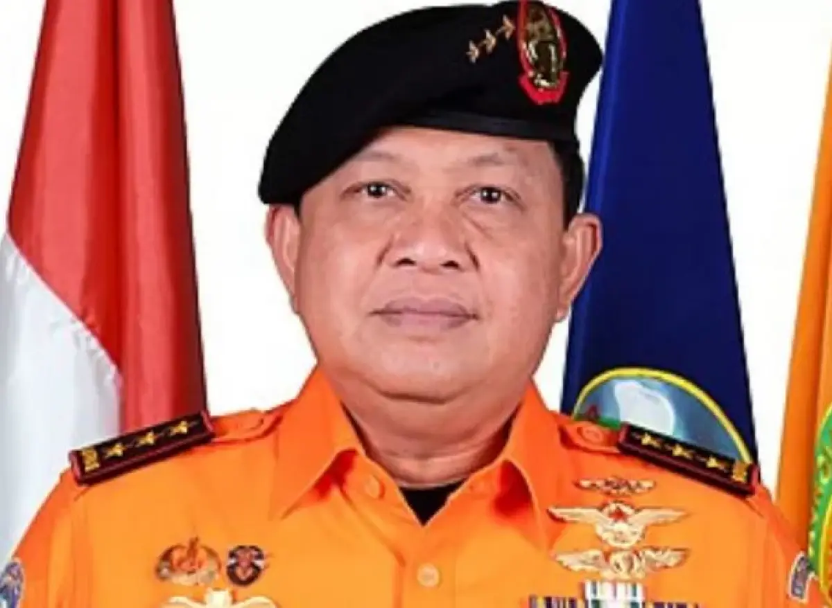 Harta kekayaan Henri Alfiandi, tersangka kasus suap dan gratifikasi (Sumber : Basarnas)