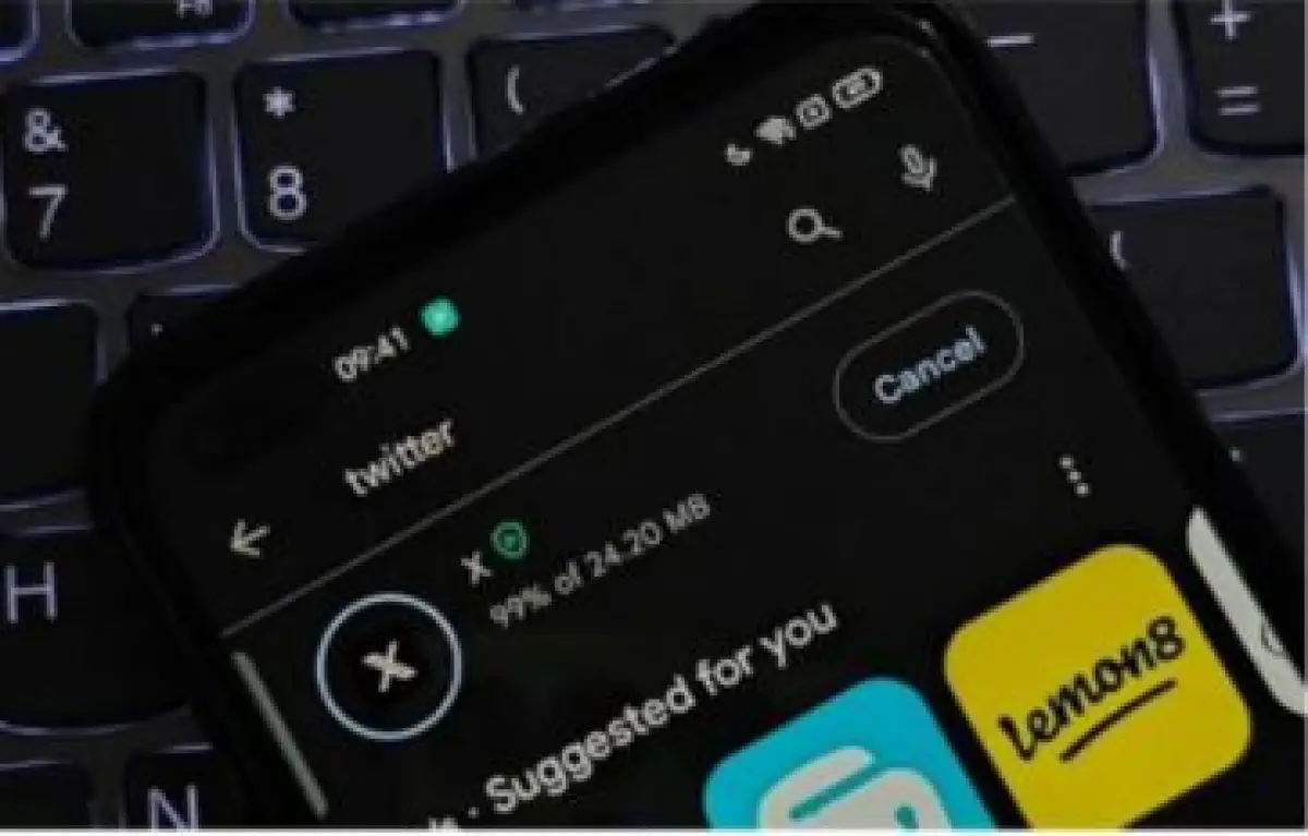 Twitter resmi lengap, tidak ada lagi di Google Play Store (Sumber : instagram.com/lambe_turah)