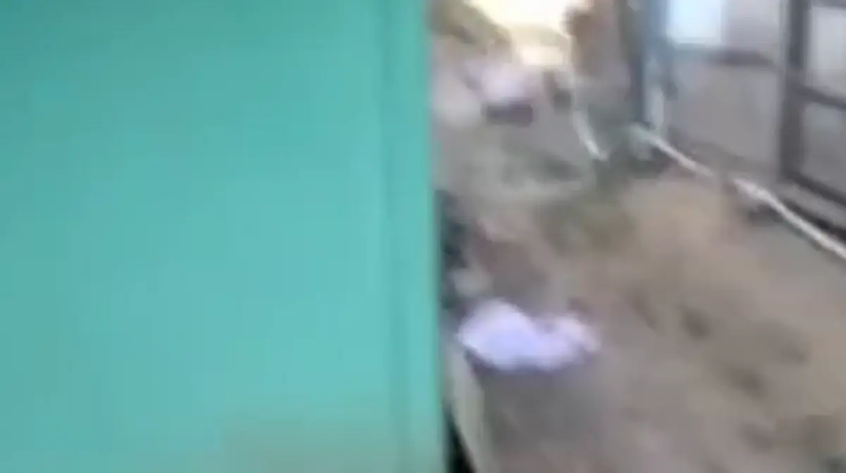 Warga geger temukan mayat bayi di samping rumah, lokasi di Genuksuran, Purwodadi, Grobogan, Minggu 30 Juli 2023. (Sumber : Instagram @storygrobogan)