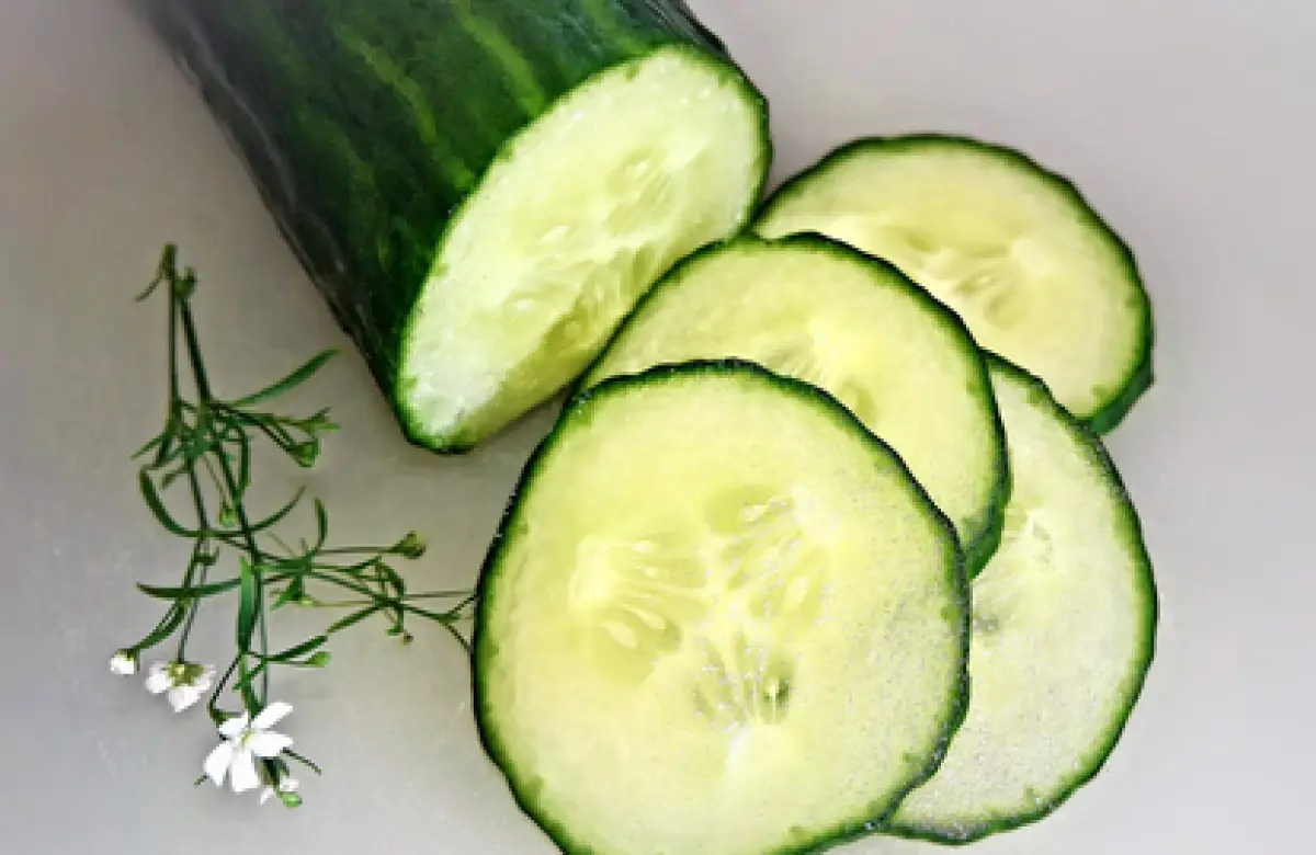 Ilustrasi mentimun (Sumber : Pixabay/Monica1607)