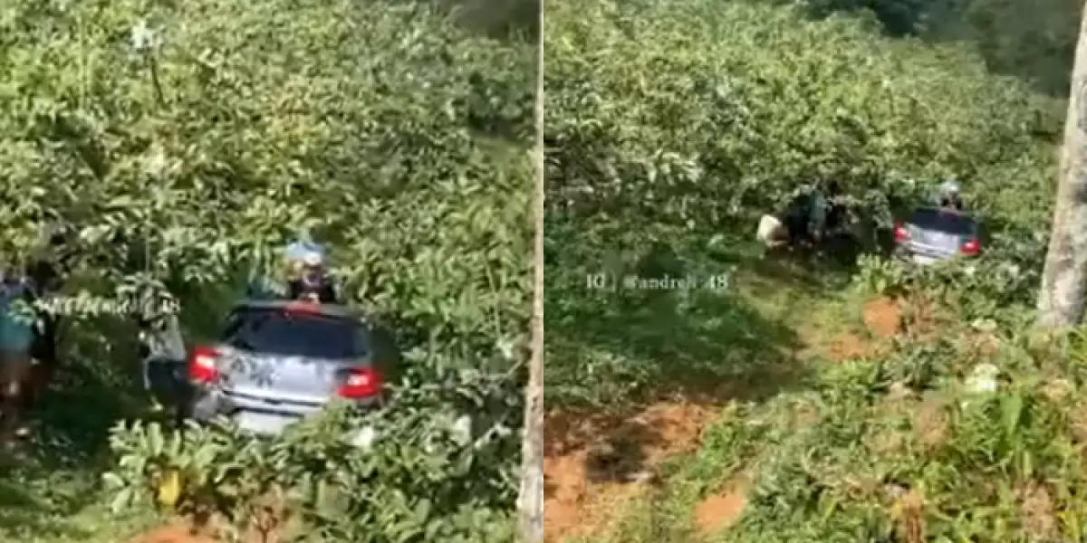 Mobil jatuh ke jurang, diduga sopir masih latihan nyetir (Sumber : Instagram/@andreli_48)