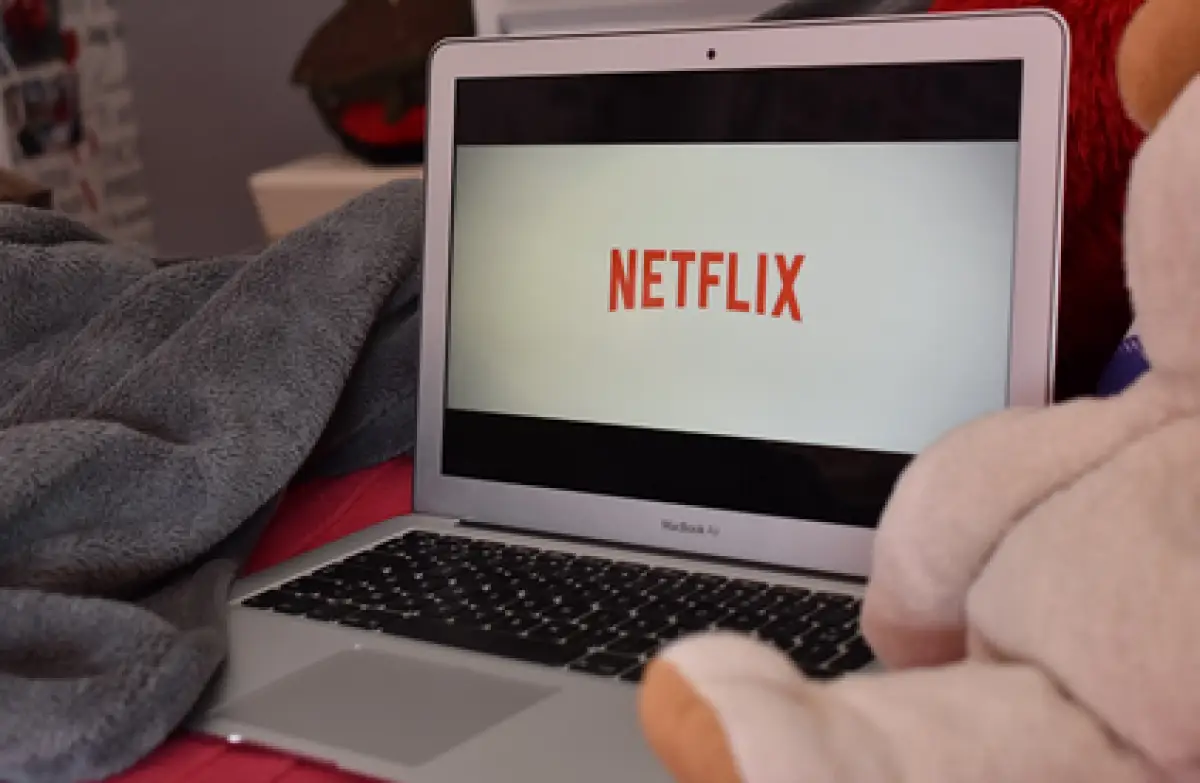 Ilustrasi Netflix (Sumber : Pixabay)