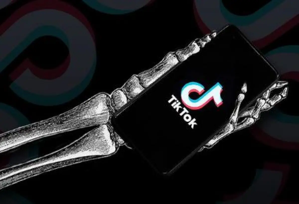 Project S TikTok Diperkirakan Akan Mematikan UMKM di Indonesia (Sumber : instagram.com/finfolkmoney)