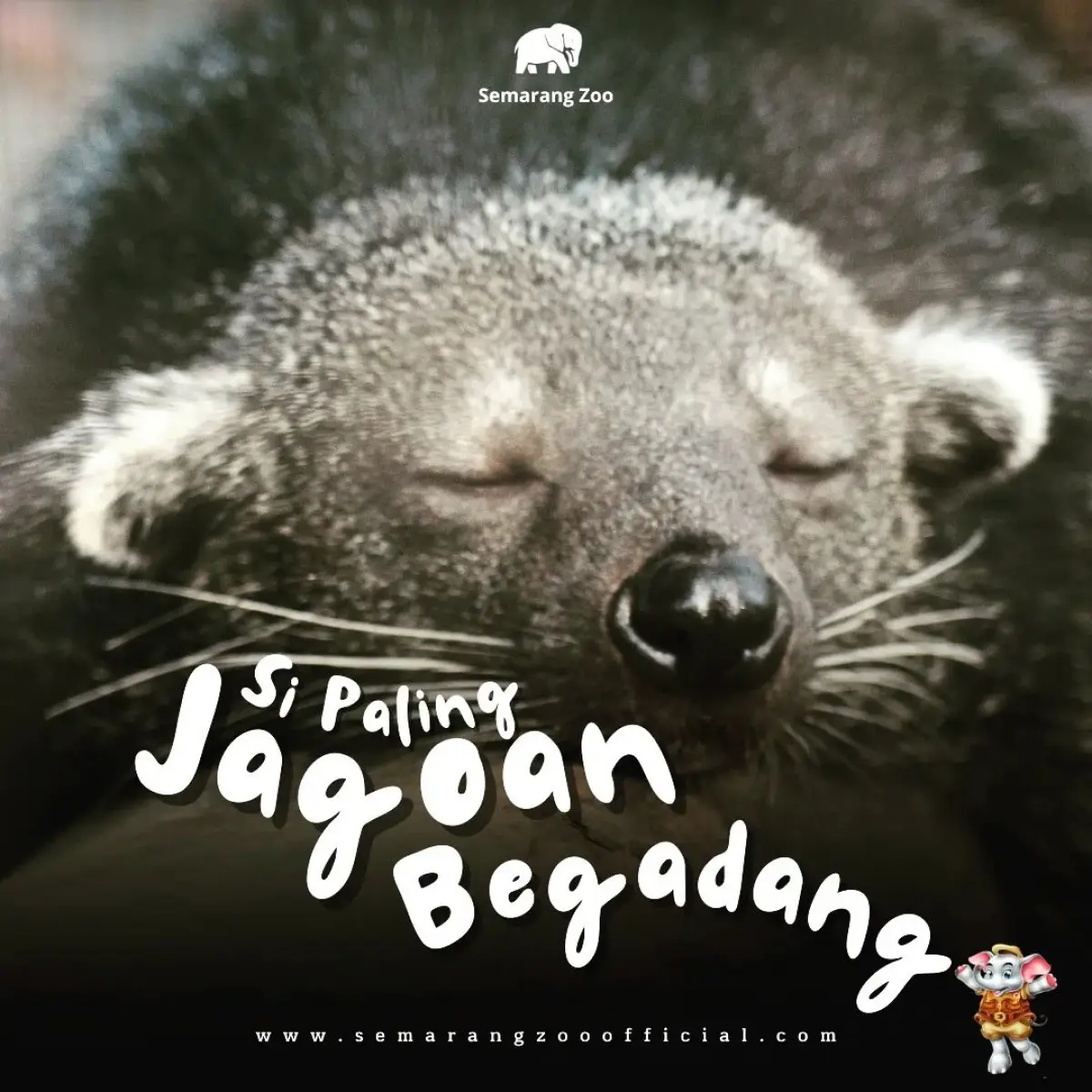 Semarang Zoo, salah satu dari 10 rekomendasi wisata Semarang di akhir pekan murah nan asyik. (SemarangZoo)