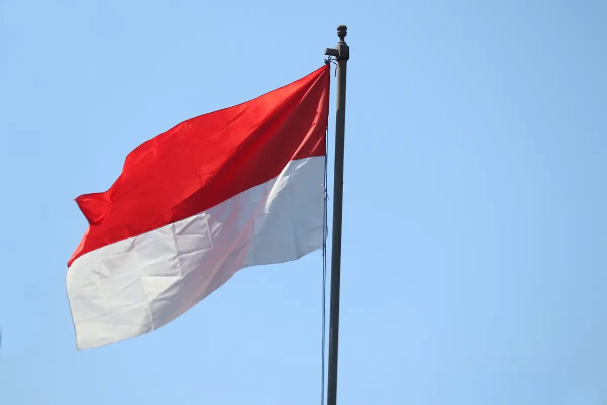 7 fakta unik Bendera Merah Putih Indonesia, ukuran hingga nama khusus. (Pixabay/Mufidpwt)