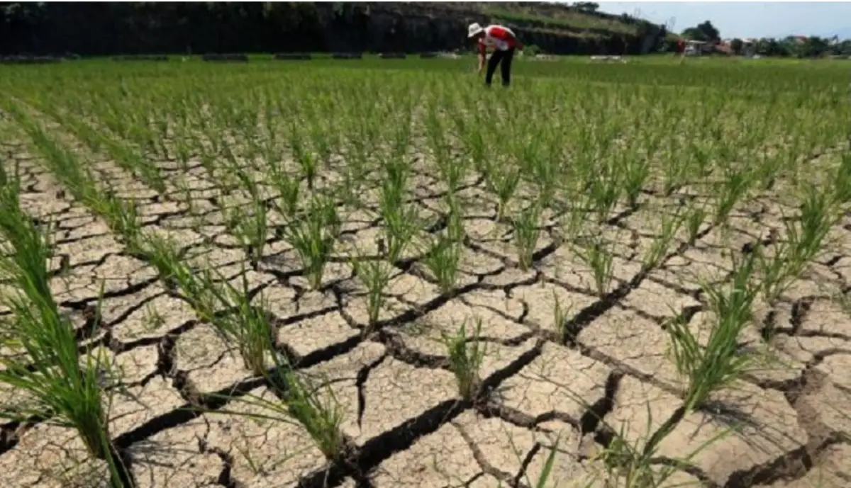 Kekeringan melanda Jawa Tengah (Sumber : Kemenkes RI)