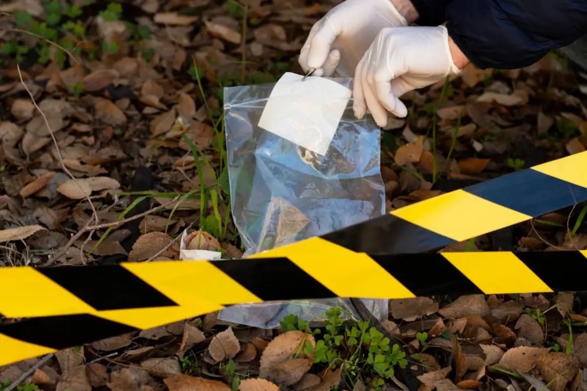 Polres Pemalang bongkar misteri jasad perempuan berpakaian pramuka (Sumber : pexels.com)