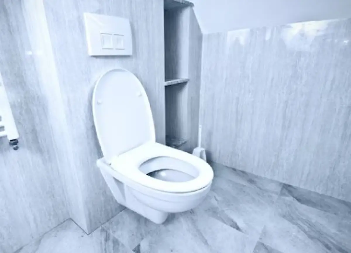 Ilustrasi | BAB Jongkok Lebih Baik Daripada Duduk (Sumber : Freepik/photoangel)