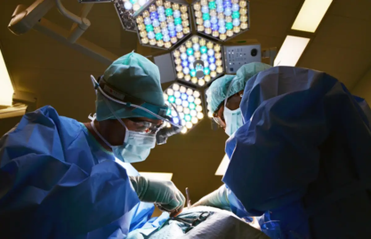 Ilustrasi dokter (Sumber : Pixabay/Marionburn)