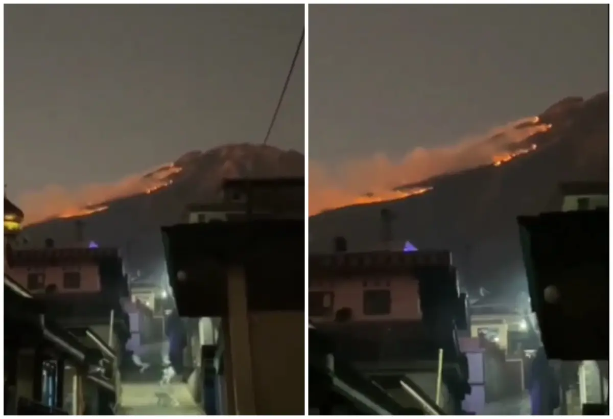 Tim gabungan evakuasi 69 pendaki usai terjadi kebakaran hutan dan lahan di Gunung Sumbing kawasan jalur pendakian Kecamatan Kalikajar, Kecamatan Sapuran, dan Kecamatan Kepil, Kabupaten Wonosobo, Jawa Tengah. (Sumber : Instagram/bpbdwonosobo)