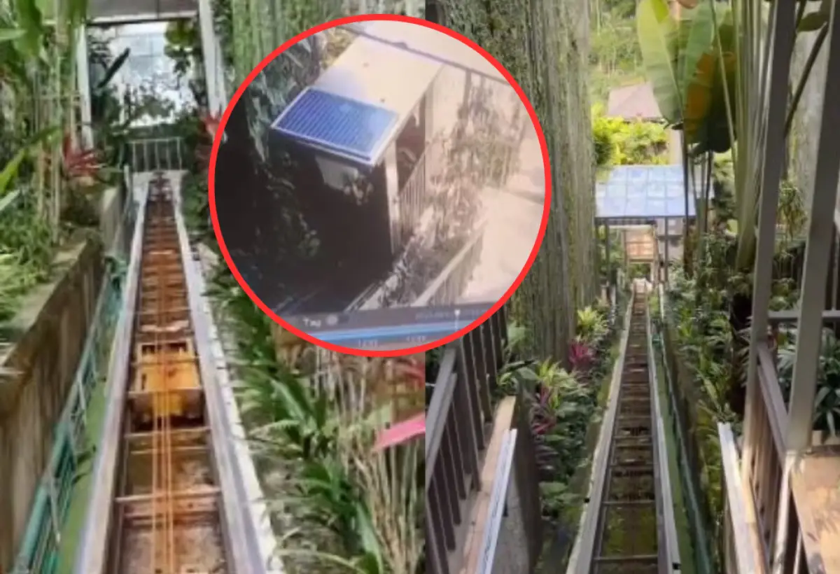 Kronologi Tali Lift Resort di Ubud Putus, Jatuh ke Jurang dan Tewaskan 5 Karyawan (Sumber : Istimewa)