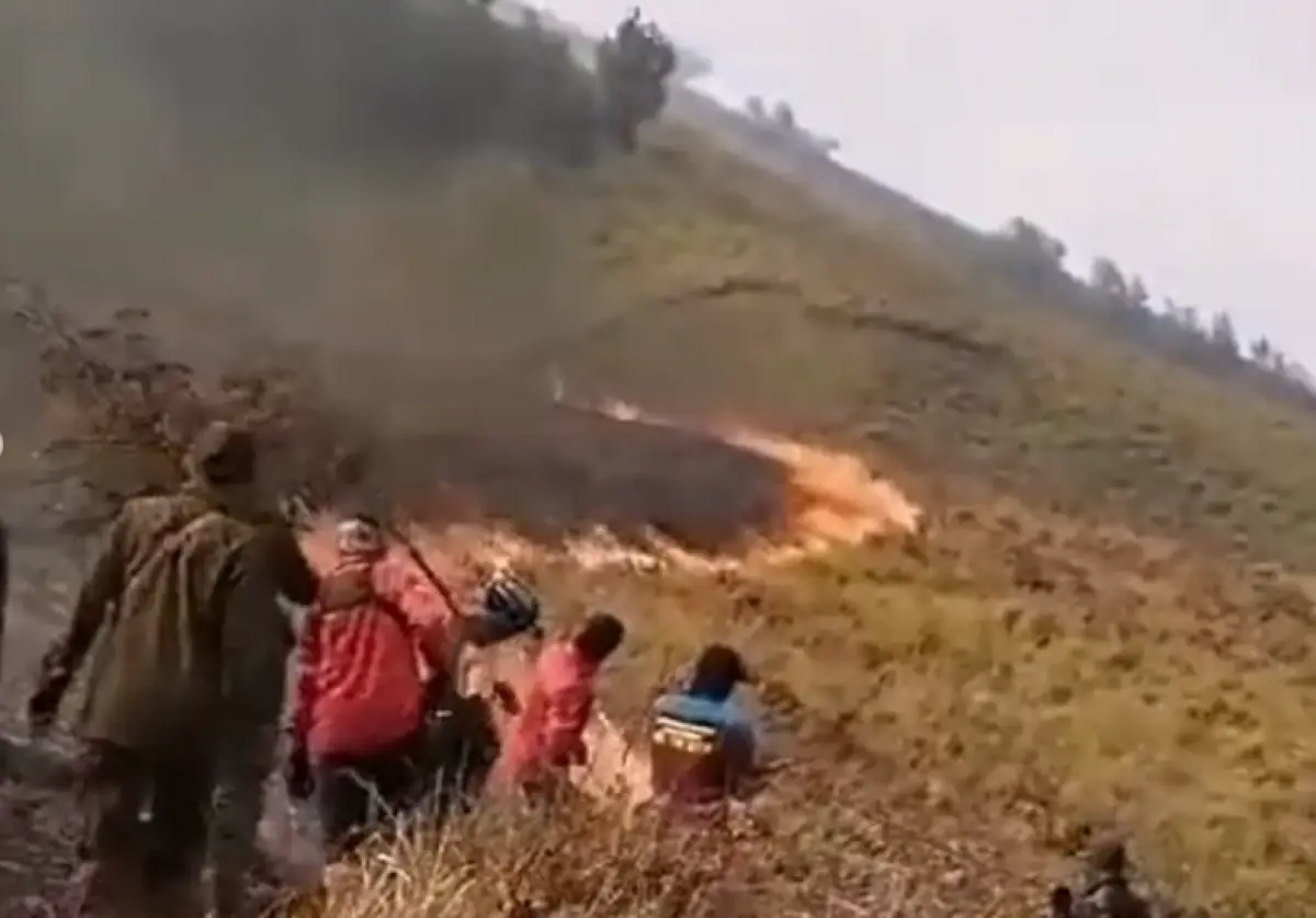 Kebakaran di sabana Gunung Bromo, Malang, Jawa Timur, Rabu 6 September 2023, diduga gara-gara kembang api prewedding. (Sumber : Instagram @anomharya)