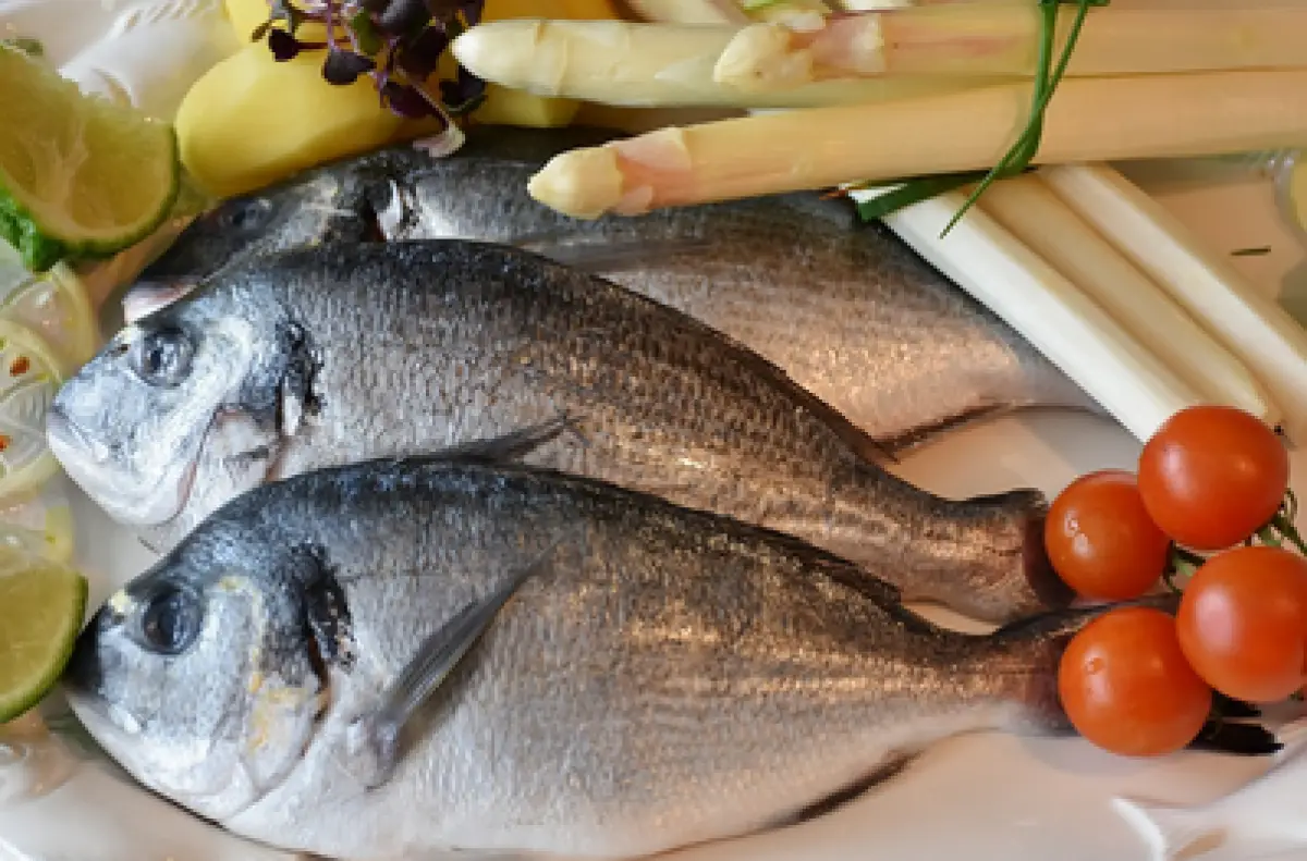 Ilustrasi sisik ikan (Sumber : Pixabay/RitaE)