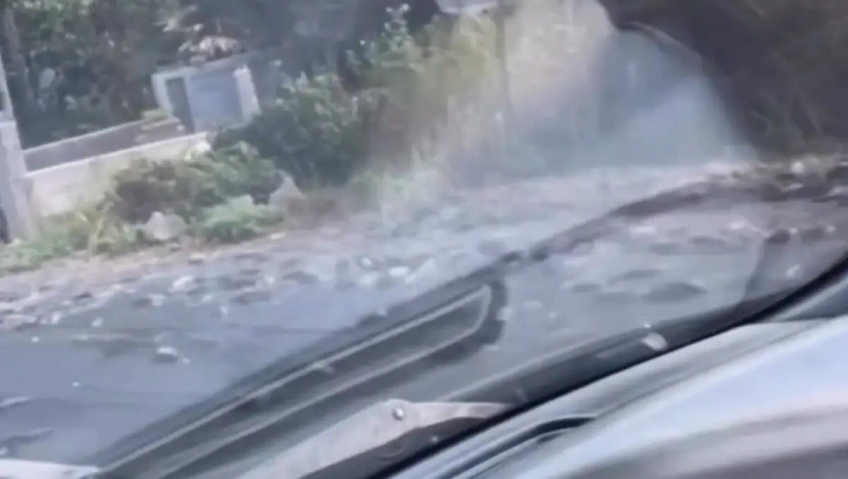 Beredar video yang memperlihatkan ratusan lele yang berceceran memenuhi jalan di Penggung, Gunungpati, Kota Semarang, Minggu 10 September 2023. (Sumber : Instagram @kejadiansmg)