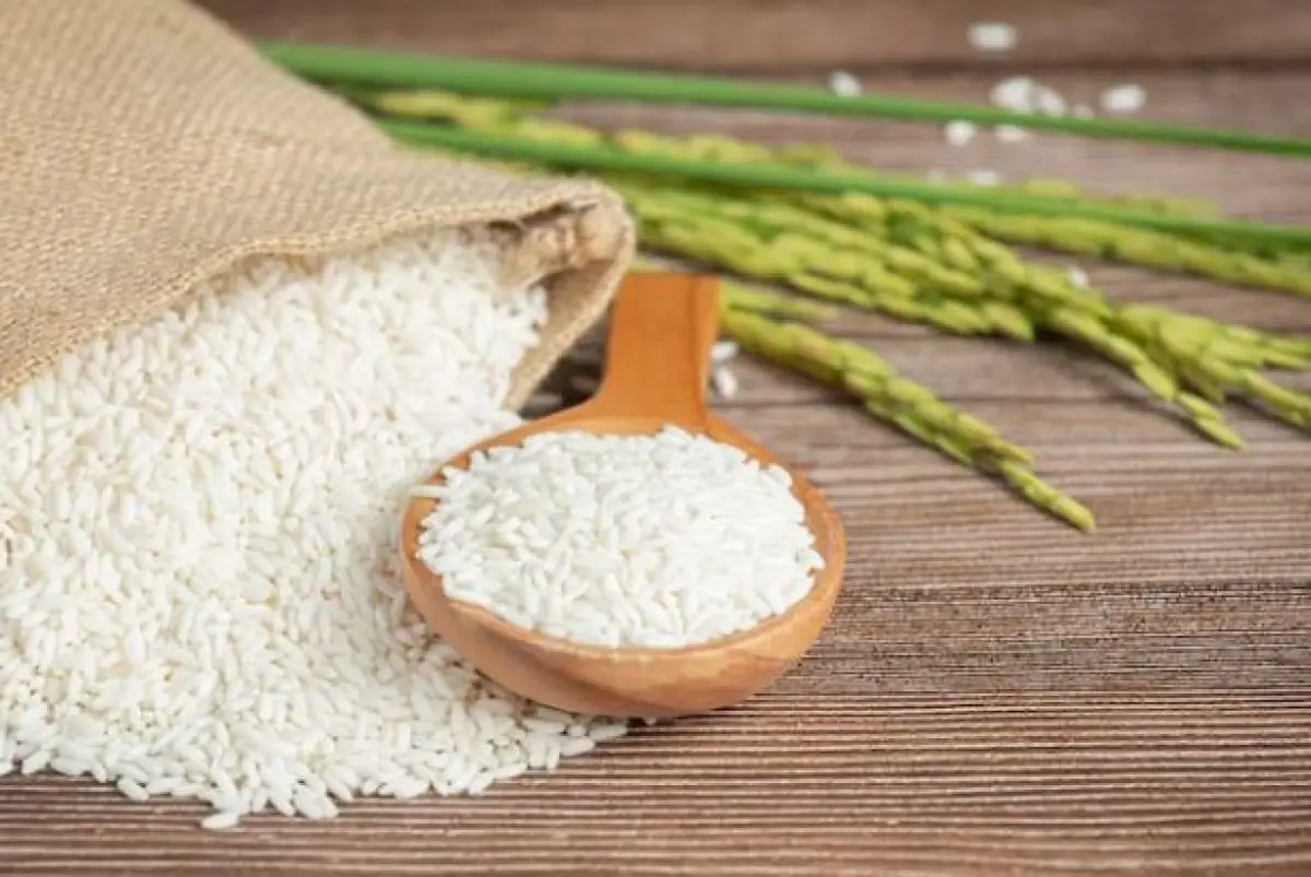 Waspada Harga Beras Akan Meroket dampak dari fenomena El Nino (Sumber : Freepik/jcomp)