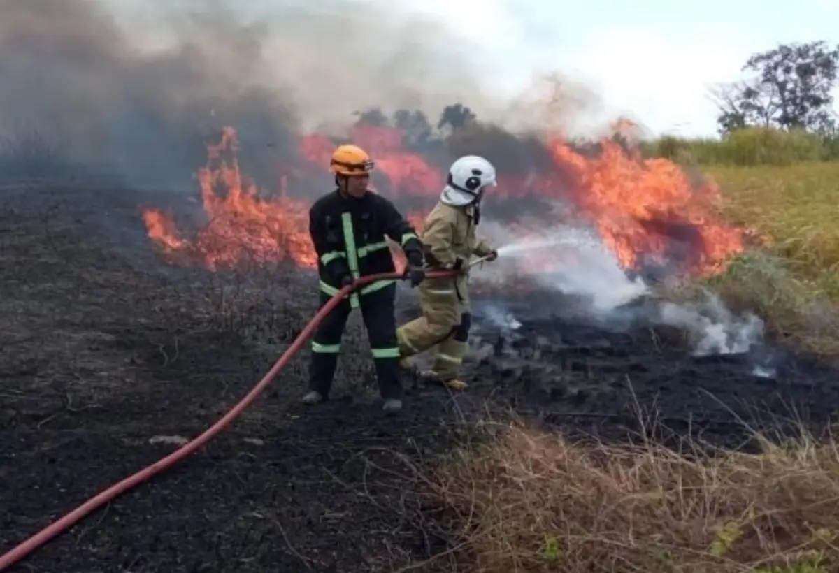 Setengah bulan September, 47 petak ilalang terbakar di Semarang. (Sumber : Instagram/damkarsemarang)