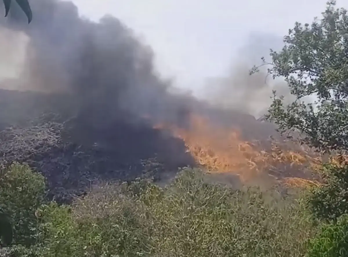 Kebakaran TPA Putri Cempo (Sumber : Instagram @agendasolo)