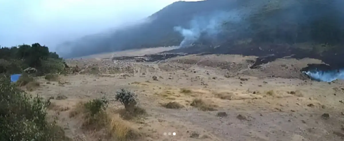 Lahan Bunga Abadi Edelweiss Terancam, Kondisi Alun-alun Suryakencana Terbakar Jadi Penyebab (Sumber : Instagram/@mountnesia)