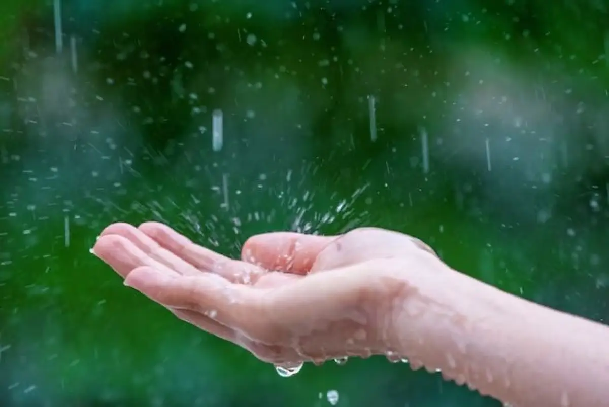 Prakiraan cuaca Kota Semarang Rabu 6 Desember 2023, bakal diguyur hujan ringan pada siang hingga petang hari. (Sumber : Freepik/tawatchai07)