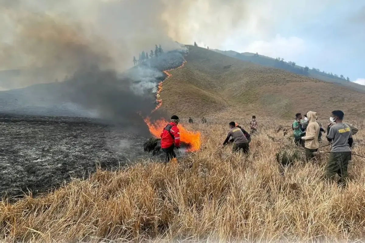 Kebakaran di Taman Nasional Bromo Tengger Semeru menimbulkan kerugian mencapai Rp 89,7 miliar. (Sumber : Instagram/bbtnbromotenggersemeru)