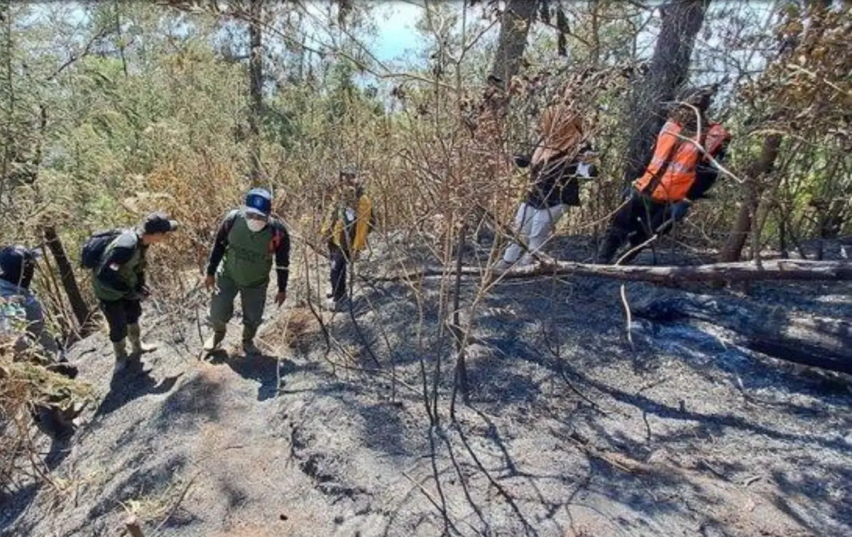 Kebakaran Gunung Merbabu (Sumber : antara)
