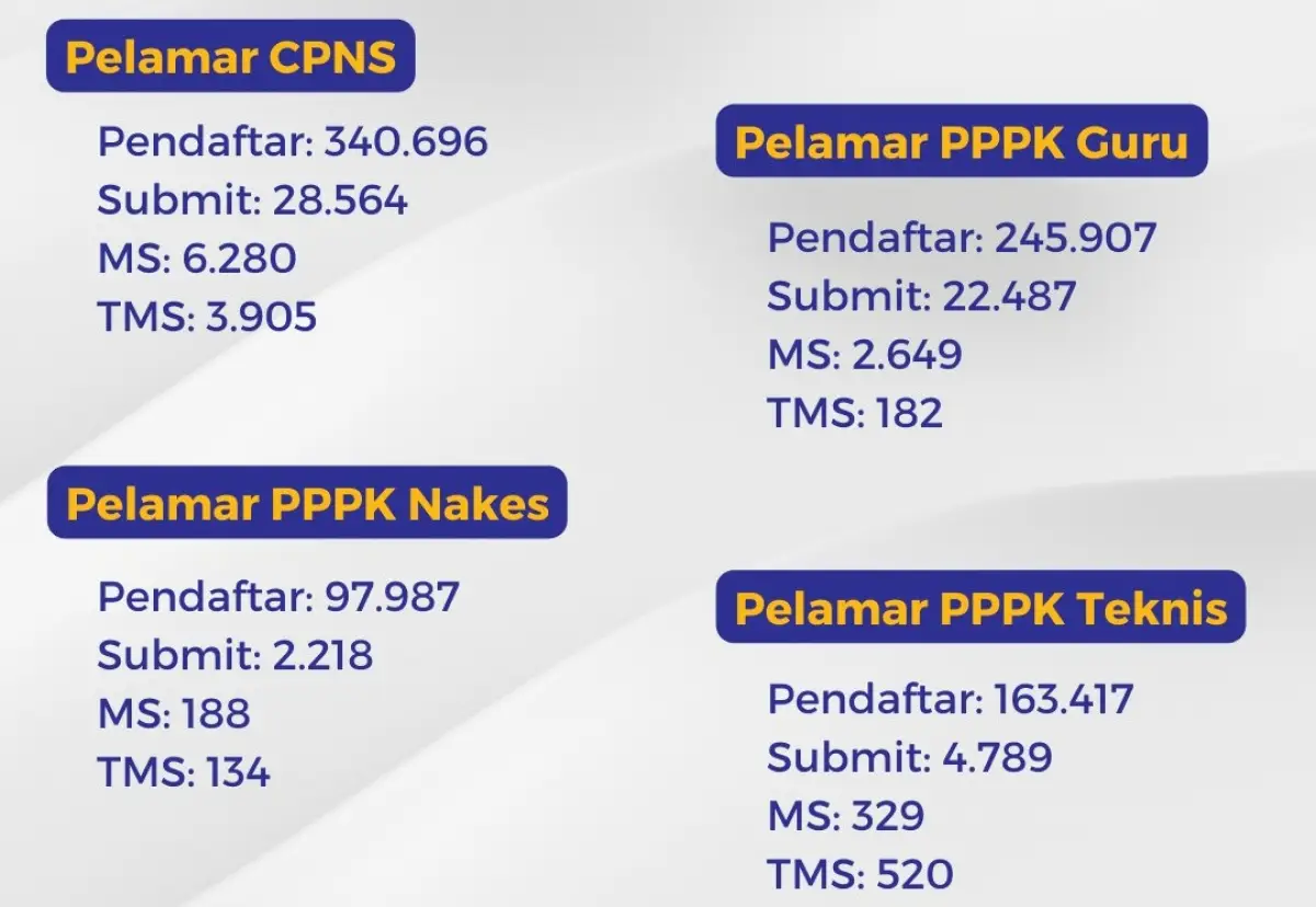 Apa itu keterangan Submit, MS dan TMS pada statistik jumlah pelamar CPNS PPPK 2023 dari BKN? (Sumber : BKN)
