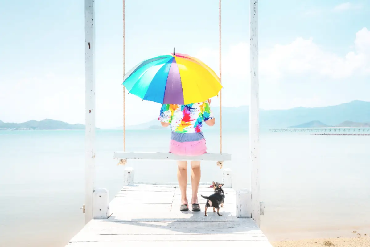 Ilustrasi | Prediksi BMKG, cuaca panas terik di sebagian wilayah Indonesia berlangsung sampai bulan Oktober 2023. (Sumber : Pexels/Quang Nguyen Vinh)