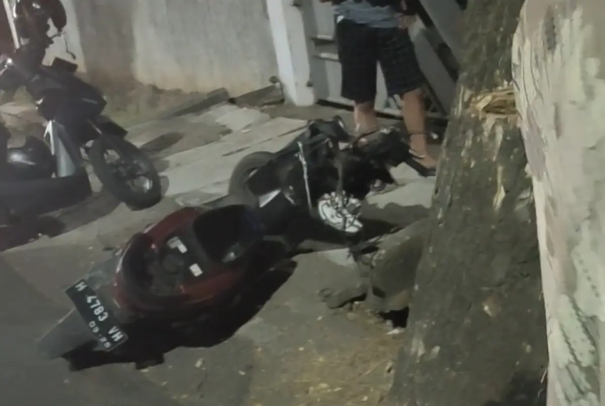 Kecelakaan tunggal, seorang pengendara motor yang diduga mabuk menabrak pohon yang berlokasi di Duwet, Ngaliyan, Kota Semarang, Senin 2 Oktober 2023 malam. (Sumber : Instagram @seputar_ngaliyan)