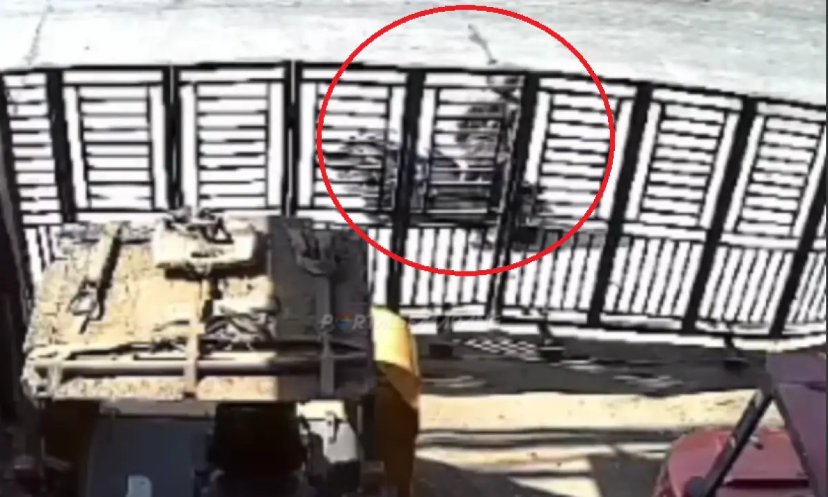 Beredar rekaman CCTV yang memperlihatkan detik-detik seorang anak usia 6 tahun mengendarai sepeda listri di jalan raya berakhir terserempet pemotor lawan arah di Tambak Lorok, Semarang, 1 Oktober 2023. (Sumber : Instagram @portalsemarang)