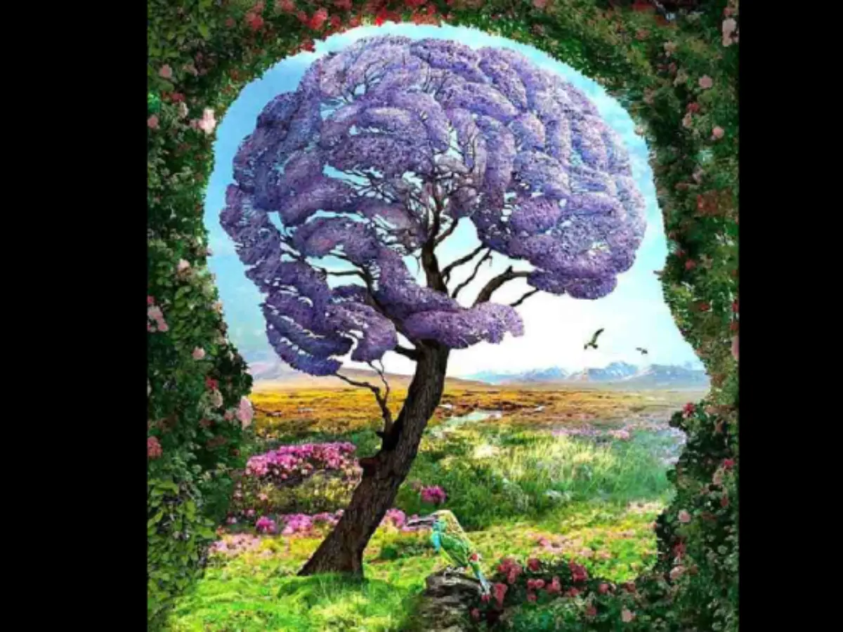 Tes kepribadian, apa yang kamu lihat pertama kali? (Sumber : indiatimes)